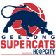 吉隆超级猫女篮  logo