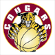 麦金农美洲狮女篮  logo