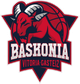 巴斯克尼亚  logo