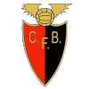 CF本菲卡女足  logo