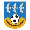 斯米尔泰 logo