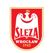 弗罗茨瓦夫女足 logo