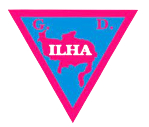 GD伊尔哈女足  logo