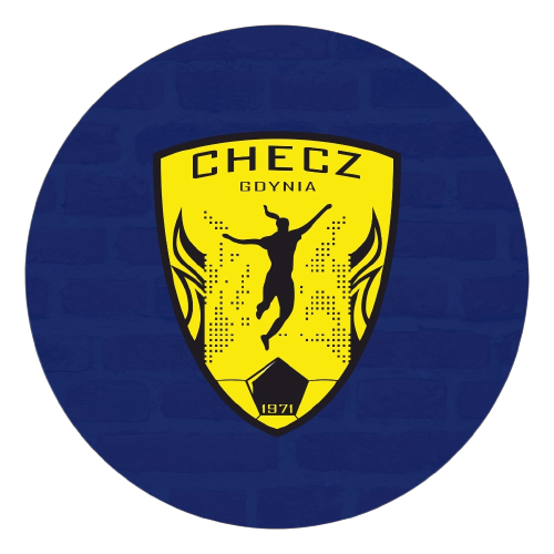 切茨格丁尼亚女足  logo