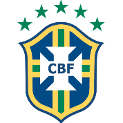 巴西沙滩足球队  logo
