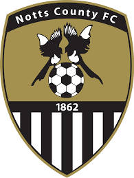 诺士郡女足 logo