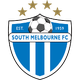 南墨尔本女足  logo