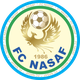 纳萨夫  logo