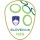 斯洛文尼亚U21  logo
