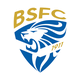 布雷西亚 logo