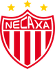 内卡萨女足  logo