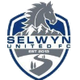 塞尔温联合 logo