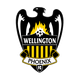威灵顿凤凰后备队 logo