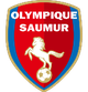 索米尔 logo