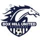 波克海尔女足  logo