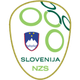 斯洛文尼亚U17  logo