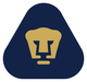 美洲狮女足  logo