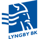 林比U19 logo