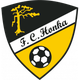 洪卡  logo