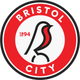 布里斯托尔城 logo