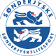 桑德捷斯基U19 logo